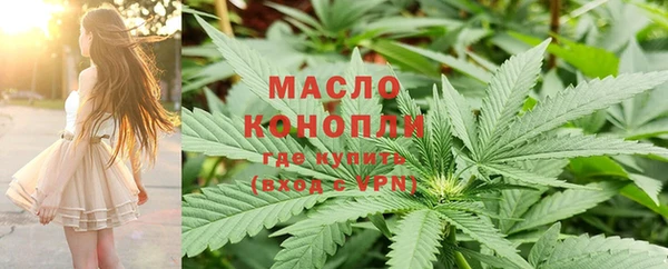 СК Алексин