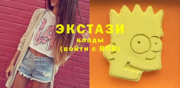 СК Алексин