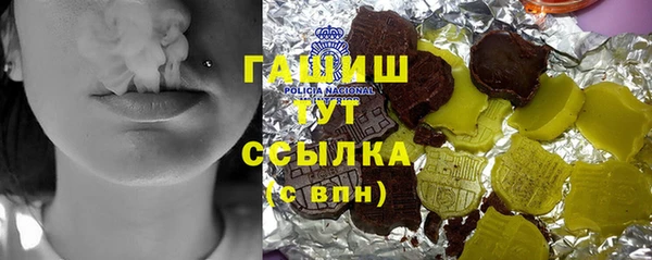 СК Алексин