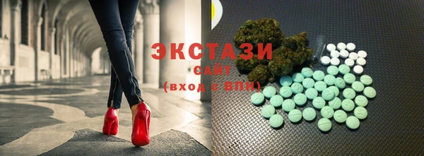 СК Алексин