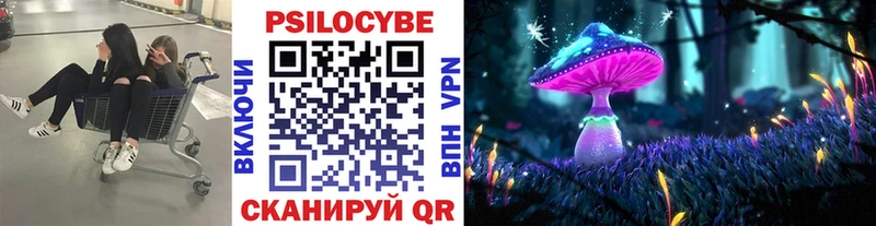 где продают наркотики  Петровск  Псилоцибиновые грибы Psilocybe 